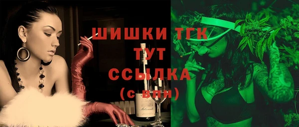 spice Касимов