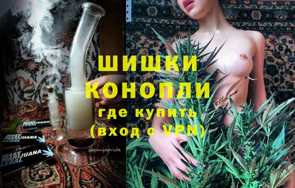 сатива Карталы