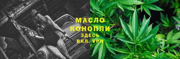 сатива Карталы